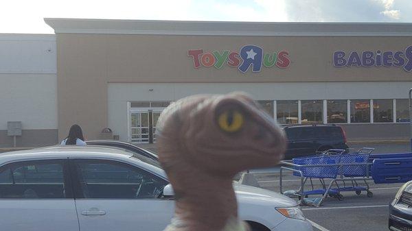 Bob the Raptor Says "Mammals come here to get plastic things for their hatchlings."