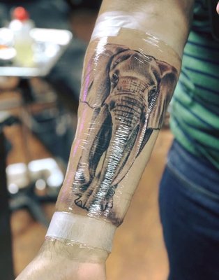 Realistic black and gray elephant. Artist Colombia