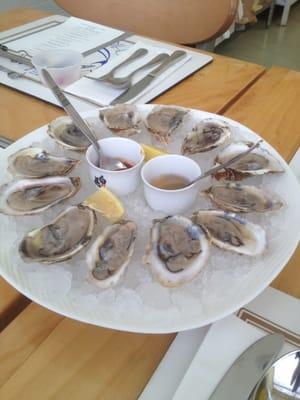 The freshest oysters you will find in Chicago