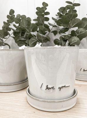 Magnolia home pots