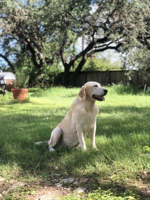 Our Greeter enjoying some Sunshine!