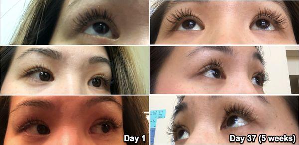 Great quality eyelash extensions by Chikako. I can get by for 4-5 weeks on one visit!