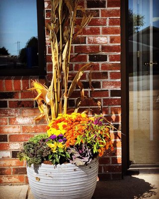 2017 Fall Display at local business