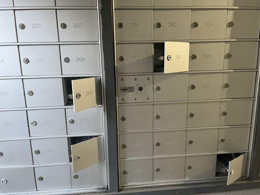 The Gardens of Valley Ranch in irving has had broken mailboxes for months and property manager Karen Vega hasn't fixed them.