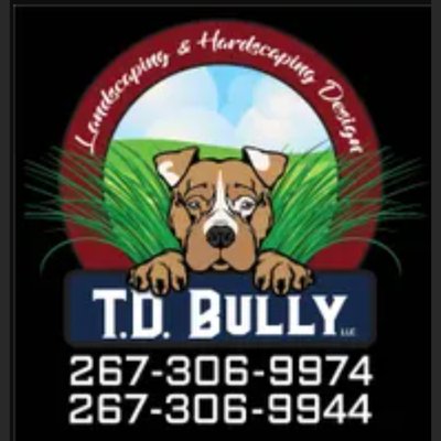 T.D. Bully