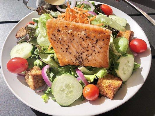 Garden salad with salmon