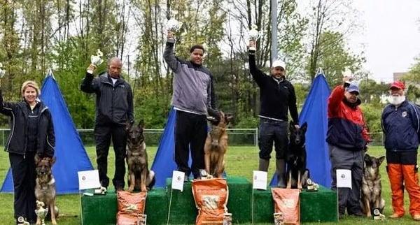 Very nice Dog training ( The Best)