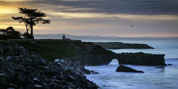 Title: Soul of Santa Cruz Location: Santa Cruz, CA