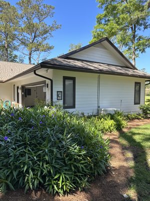 Siding and paint