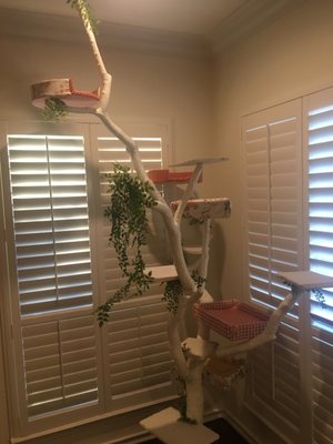 Custom Cat Tree with custom upholstered cat beds