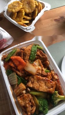 Small order of Fried Green Plantains and an order of the Home Style Bean Curd