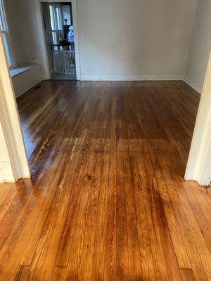 Looking into the dining room.