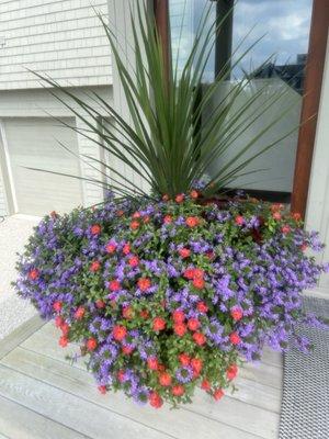 Large annual planter by Hoch's Landscaping 2022