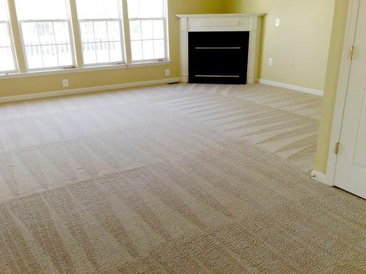 Carpet cleaning services tampa