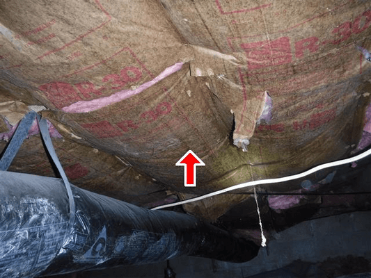 Insulation Defect, ASHI Inspector