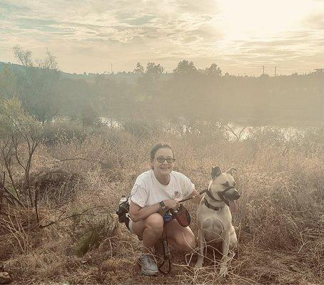 Aspire Dog Training Center