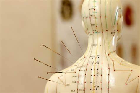 Experiencing shoulders pain? Try acupuncture! 
Call today to start your healing journey.