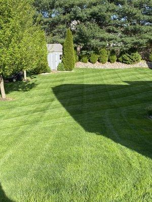 Lawn striping!