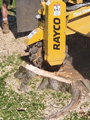 Stump Grinding