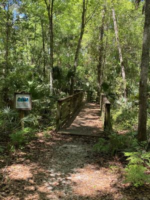 Black Hammock Wilderness Area and Trail