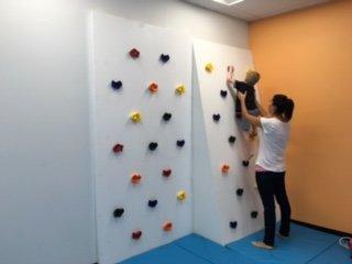 Climbing wall in the Occupational Therapy room!