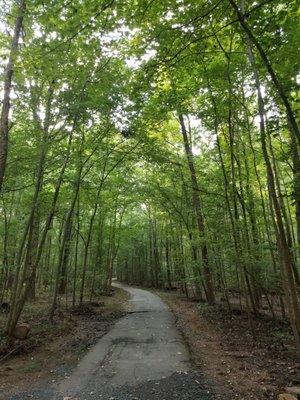 The trail is covered in places and dirt/mud in others