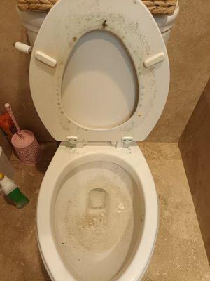 Bathroom Toilet