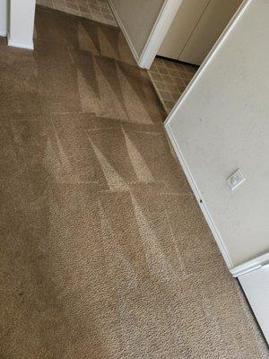 5 Sons Carpet Cleaners