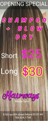 SHAMPOO + BLOW DRY SHORT HAIR ONLY $25 LONG HAIR ONLY $30