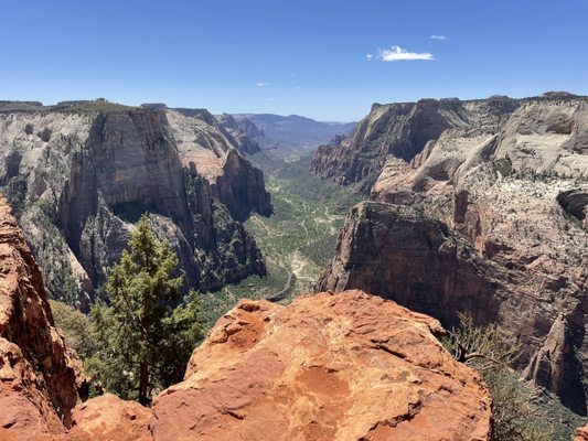 Observation Point