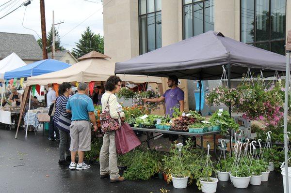 Purple Pepper Farms - All natural and locally grown in Wyoming County!  Hydroponic and traditional produce.