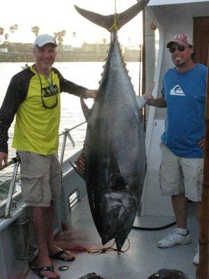 328 lb Bluefin Tuna