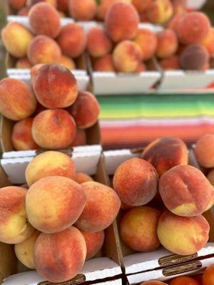 Fresh Fredricksburg Peaches