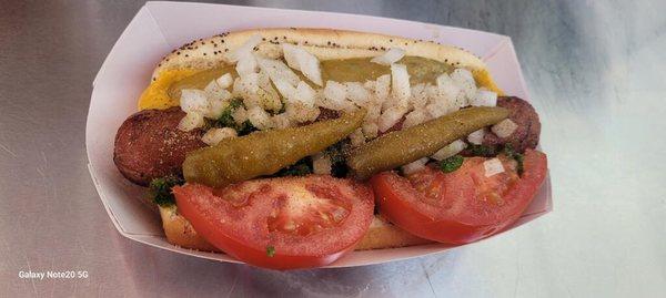 Authentic Chicago dog