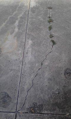 cracks in cement floor sidewalk