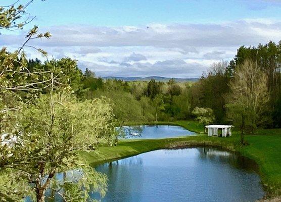 A view of our ponds