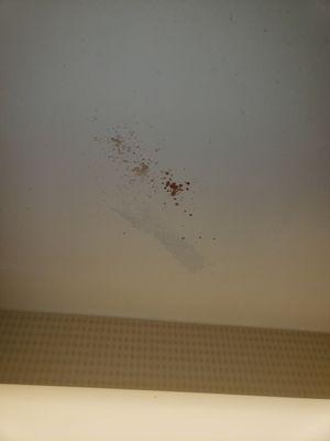 Blood splatter on the bathroom ceiling.