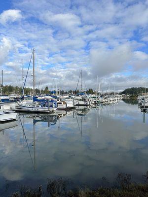 Shelter Bay Marina