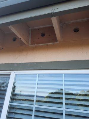 Removed bees from behind a vent board.