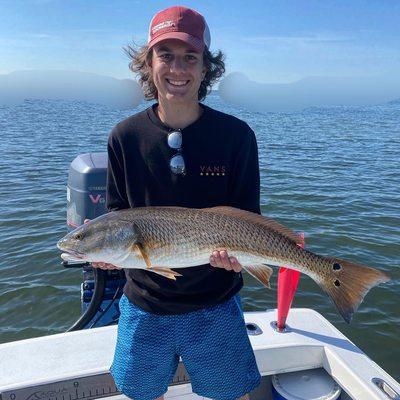 Redfish in Tampa bay!