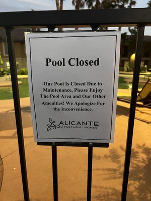 Enjoy the pool area but the pool is closed?