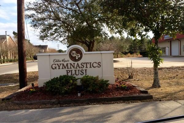 Gymnastics Plus