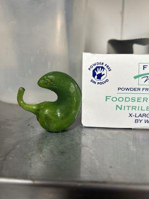 Jalapeño animals