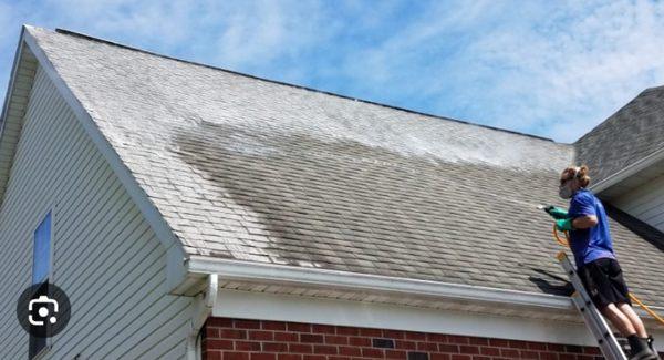 Roof cleaning