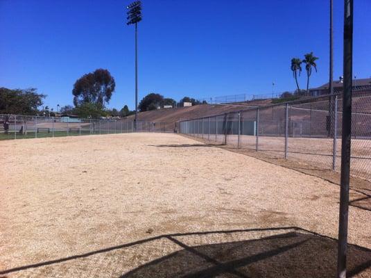 Picture from inside the big dog area facing north-ish