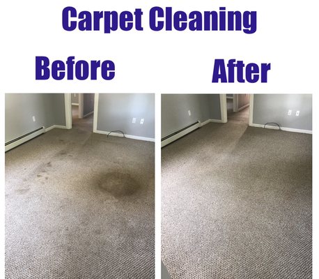 Carpet Cleaning before and after of a rental unit.