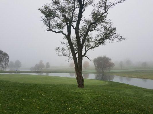 Hole 12 Beautiful in late fall, minus the fog!