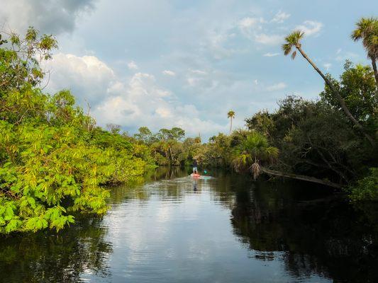 Heading back up Telegraph Creek from the Caloosahatchee River. Great views on the water for our sunset tours!