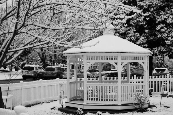 Our Beautiful Front Garden After a Snowfall