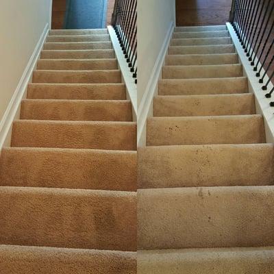 Carpet cleaning and stain removal